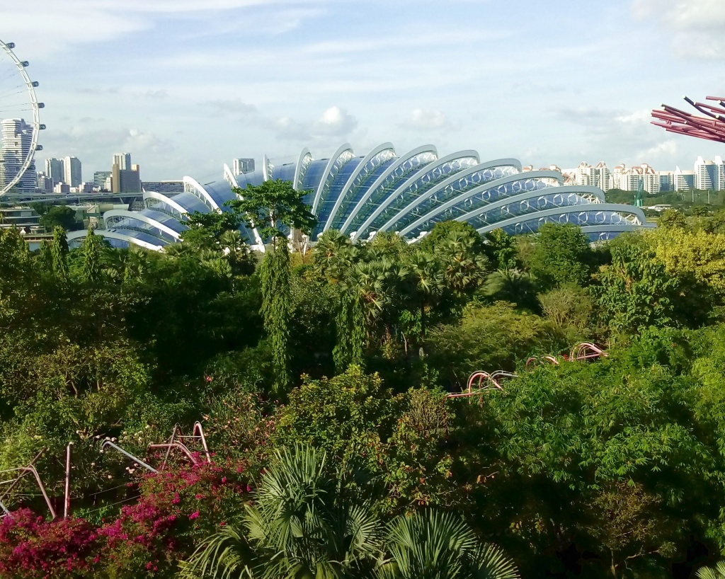 Красивый вид Сингапур.jpg